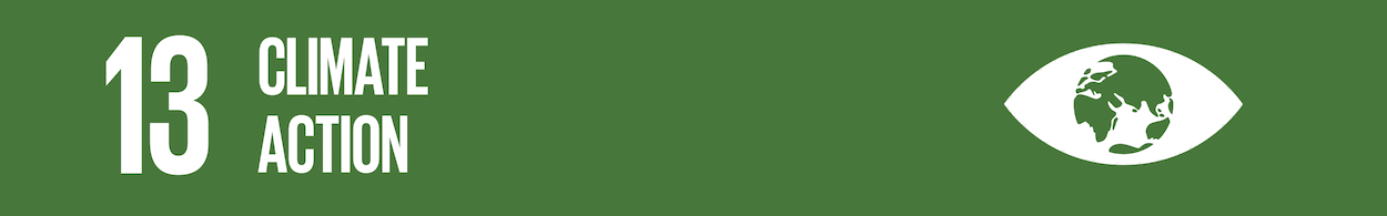 SDG 13. Climate Action