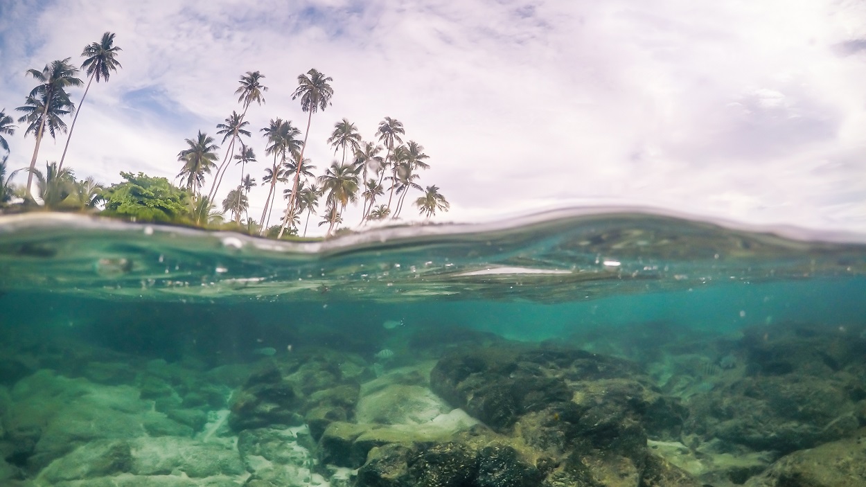         Image for Climate Action and Resources Management
      
