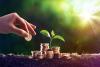Sprout in coin money, showing that growth requires financial resources