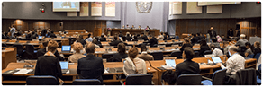 Committee meeting 