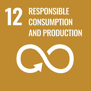 SDG 12. Responsible Consumption and Production
